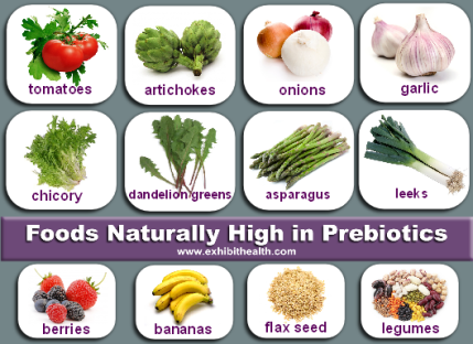 foods-high-in-prebiotics