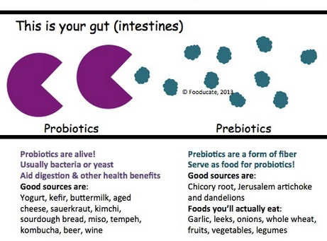 probiotics-vs-prebiotics
